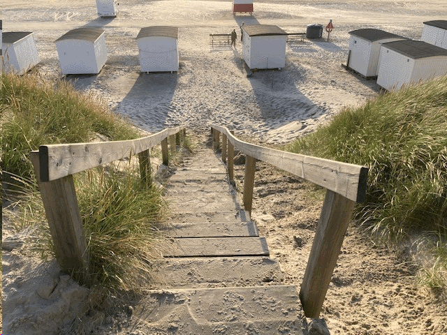 img1.gif